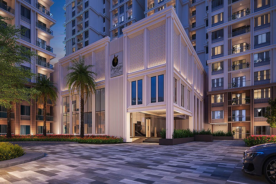 prestige southern star back side
